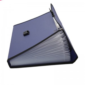 Διεξάρτηση του φακέλου A4 Μέγεθος επιστολής PP Πλαστικό 13 τσέπες Multi Pocket Organizer επεκτάσιμο αρχείο