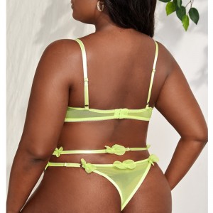 Appliques Λεπτομέρειες σέξι εσωρούχων σετ με ένα ζευγάρι garter