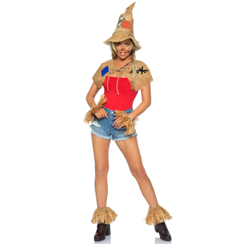 ΚΙΤ κοστουμιών SCARECROW