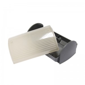 Μορφή έγχυσης