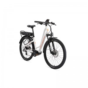 Λιμουζίνα600