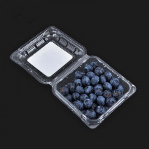 125g χονδρική διαφανή clamshell Blueberry Clamshell συσκευασία φρούτων δοχείο φρούτων
