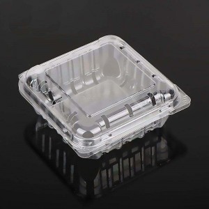 125g χονδρική διαφανή clamshell Blueberry Clamshell συσκευασία φρούτων δοχείο φρούτων