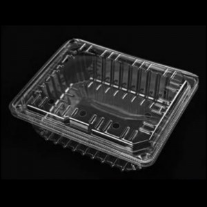 Κουτί φρούτων με καπάκι 225*185*80 mm HGF-1000C