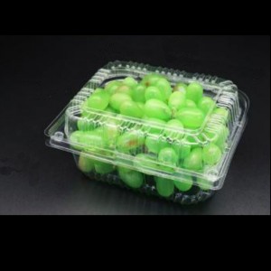 Κουτί φρούτων με καπάκι 195*155*85 mm HGF-650