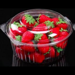 Κουτί σαλάτας 175*175*100 mm HGF-32DL