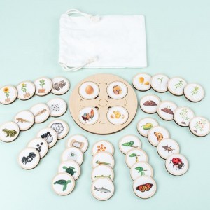 Ξύλινα Παιδιά Διαφωτισμού