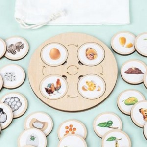 Ξύλινα Παιδιά Διαφωτισμού