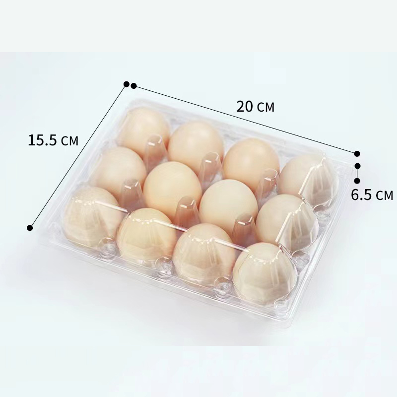 Δίσκο αυγών 200*155*65 mm 12 αυλακώσεις 3*4