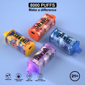 Elfworld reload 8000 puffs fluum χυμό e υγρό voltbar type-c Επαναπροσδιορίσιμο μίας χρήσης Vape