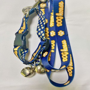 Κατοικίδιο ζώο