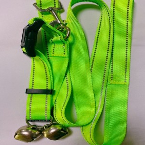 Κατοικίδιο ζώο