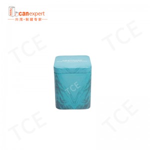 TCE-New Design Tin Gift Box Packaging Cans