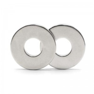 Εγκύκλιος μαγνήτης