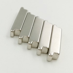 Μαγνήτης ετεότυπου