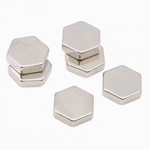 Μαγνήτης ετεότυπου