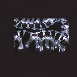 LED Χριστουγεννιάτικο φως