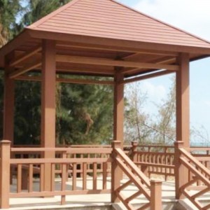 PE ξύλινο πλαστικό μούχλα εξώθησης