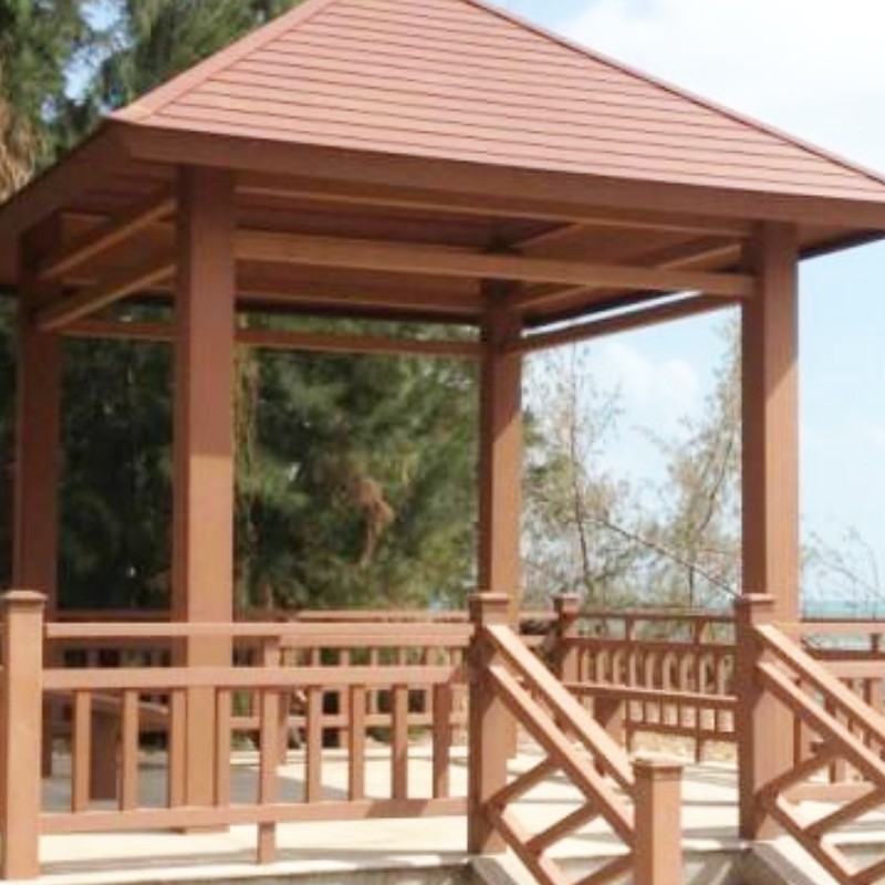 PE ξύλινο πλαστικό μούχλα εξώθησης