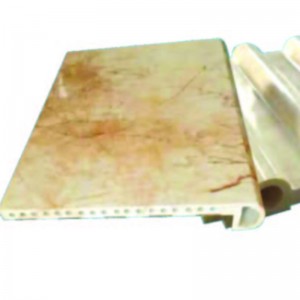 Πλαστικό μούχλα εξώθησης με σειρά μίγγων απομίμησης