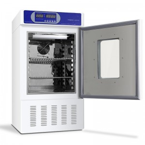 εκκολαπτήριο