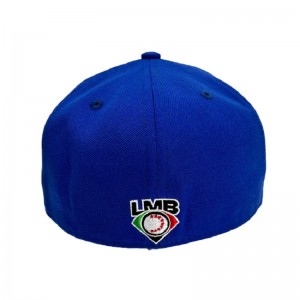 Νέο καπέλο πώληση χονδρικής Hot Brand Fitted Hat 6 Panel Hip Hop Snapback Cap