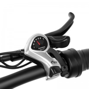 20 ιντσών λιπαρών ηλεκτρικών ποδηλάτων