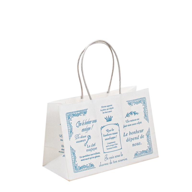 Προσαρμοσμένη τσάντα χαρτιού με το δικό σας λογότυπο, διαθέσιμη φιλική προς το περιβάλλον χάρτινη τσάντα με στριμμένη λαβή, εκτύπωση καφέ χαρτιού Kraft