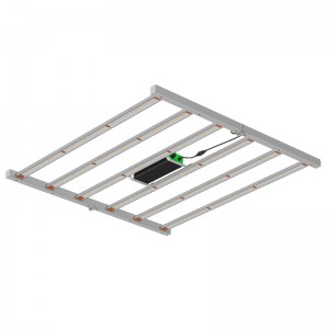 720W Πλήρες φάσμα που τροφοδοτείται από HPS 600W Ηλεκτρονικό ψηφιακό έρμα Horticultural LED Grow Light