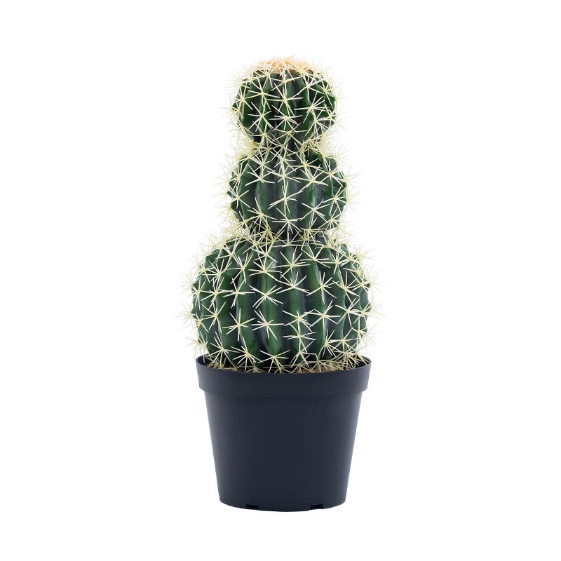 Υψηλής ποιότητας προσαρμοσμένο διακοσμητικό μεγάλο μέγεθος faux cactus τεχνητό cactus φυτά