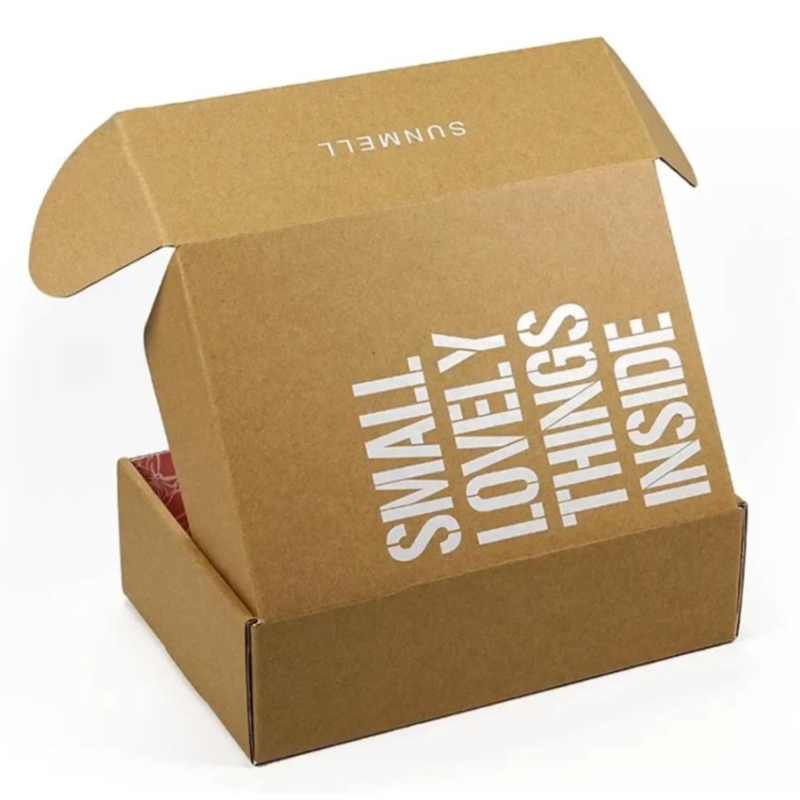 Προσαρμοσμένο λογότυπο εκτύπωσης καλλυντικών κυματοειδούς συσκευασίας ανακύκλωση ταχυδρομείου ταχυδρομείο κουτί αεροπλάνου