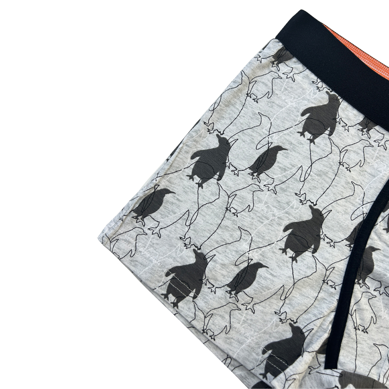 OEM χονδρική συν το μέγεθος εκτύπωσης μπόξερ αναπνεύσιμους πολυεστέρας Men Men Customized Logo Printing Boxers