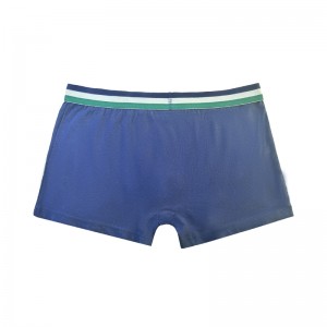 Προσαρμόστε τα χριστουγεννιάτικα μπόξερ των εσώρουχων