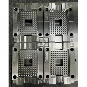 Καλούπι ακριβείας πολλαπλών κοιλοτήτων ibi-8