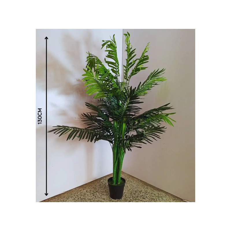 Βακκικά φυτά