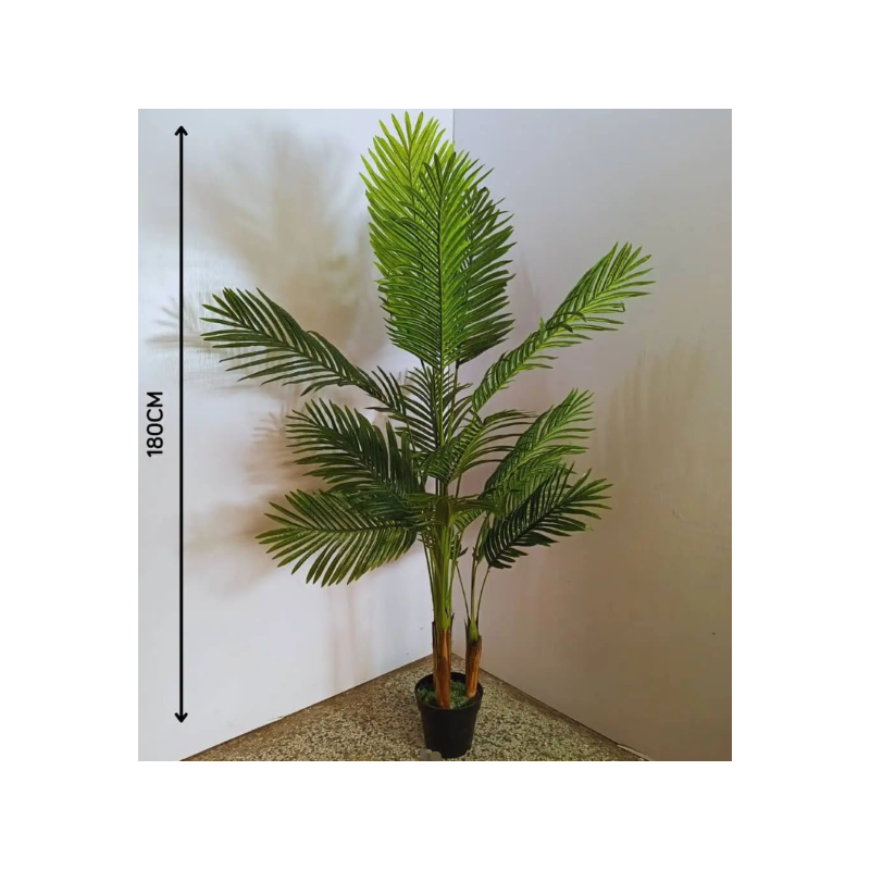 Βακκικά φυτά