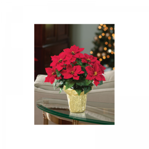 Τεχνητά φυτά διακοπών