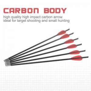 119722 Μπουλόνια βαλλίστρας 12,8 ιντσών OD5,5 mm