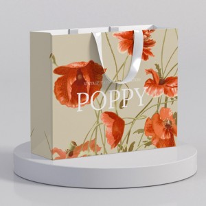 Χάρτινη τσάντα