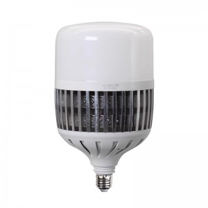 Πτερυγόμενος